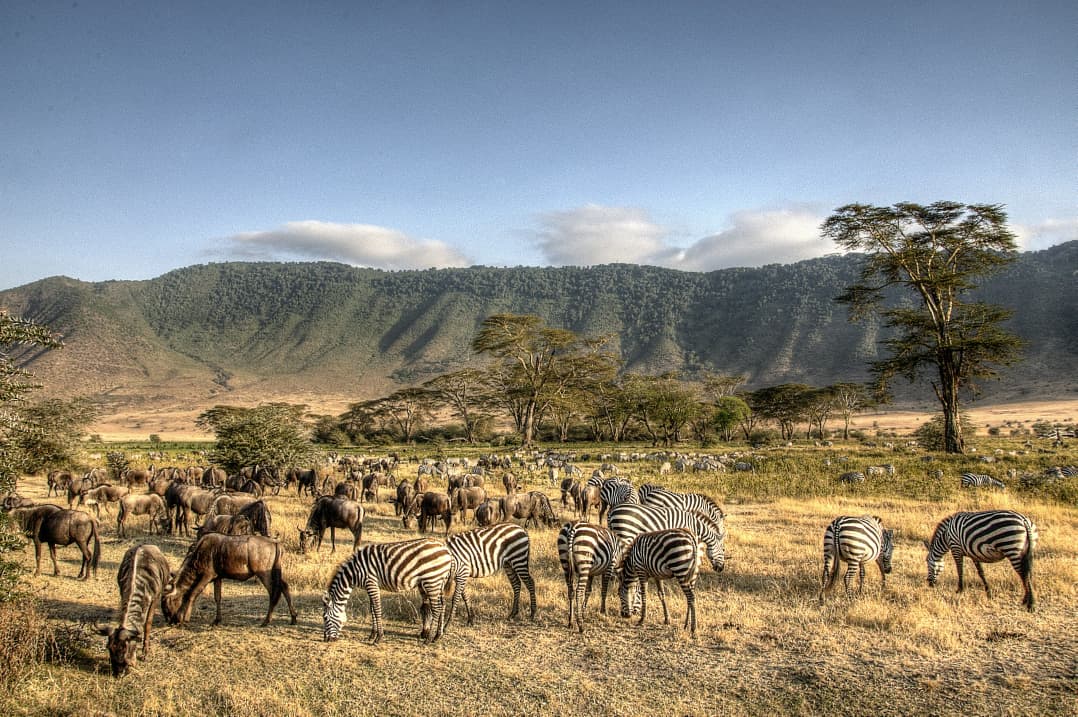 Arusha National Park